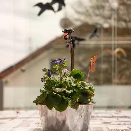 Apartment Urlaub Mit Verglaster Terrasse Emmingen-Liptingen
